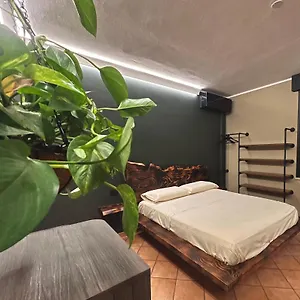 Corte Dei Pini , Modena Italia