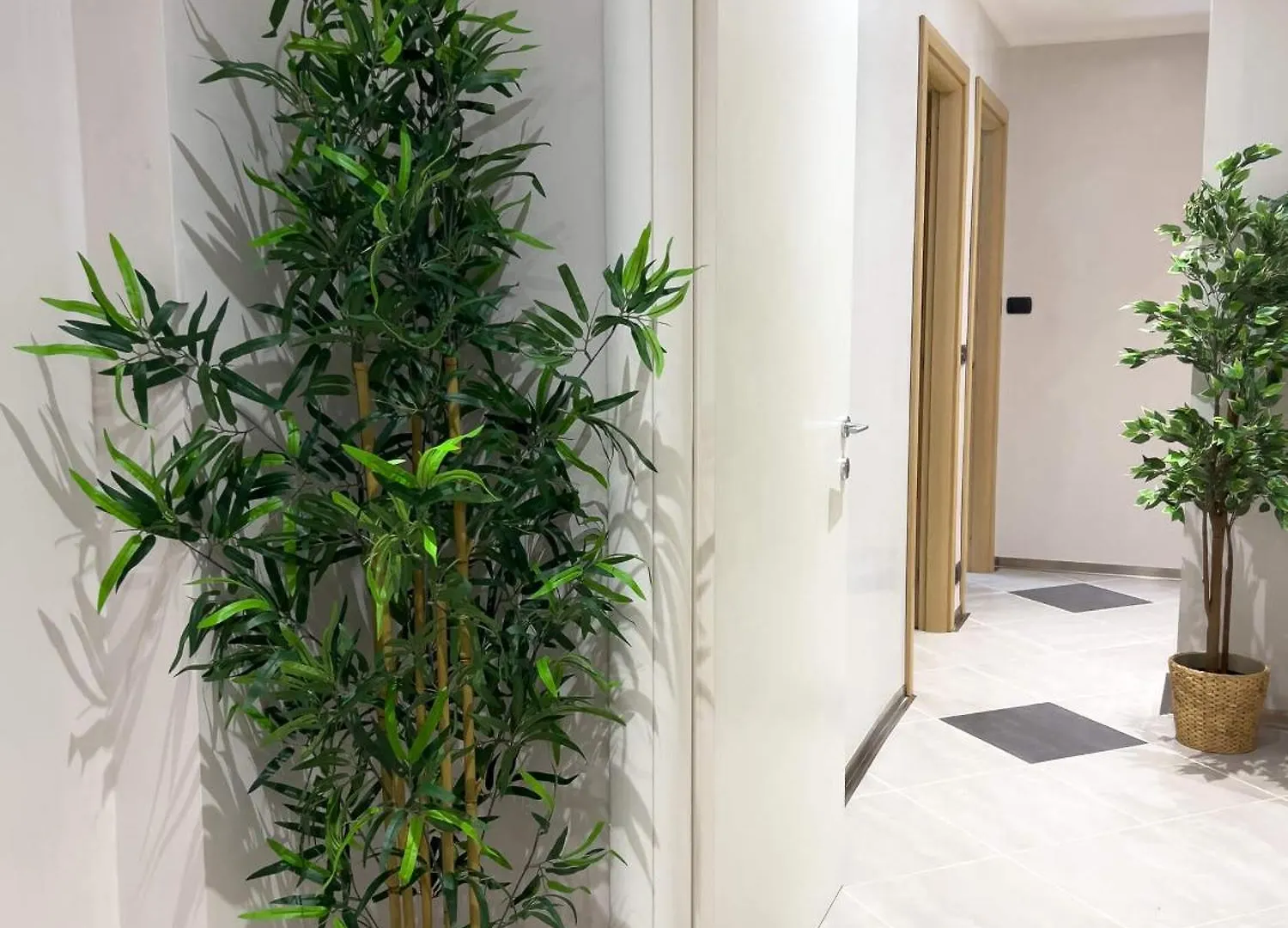 Sofia Guest House Roma Italia
