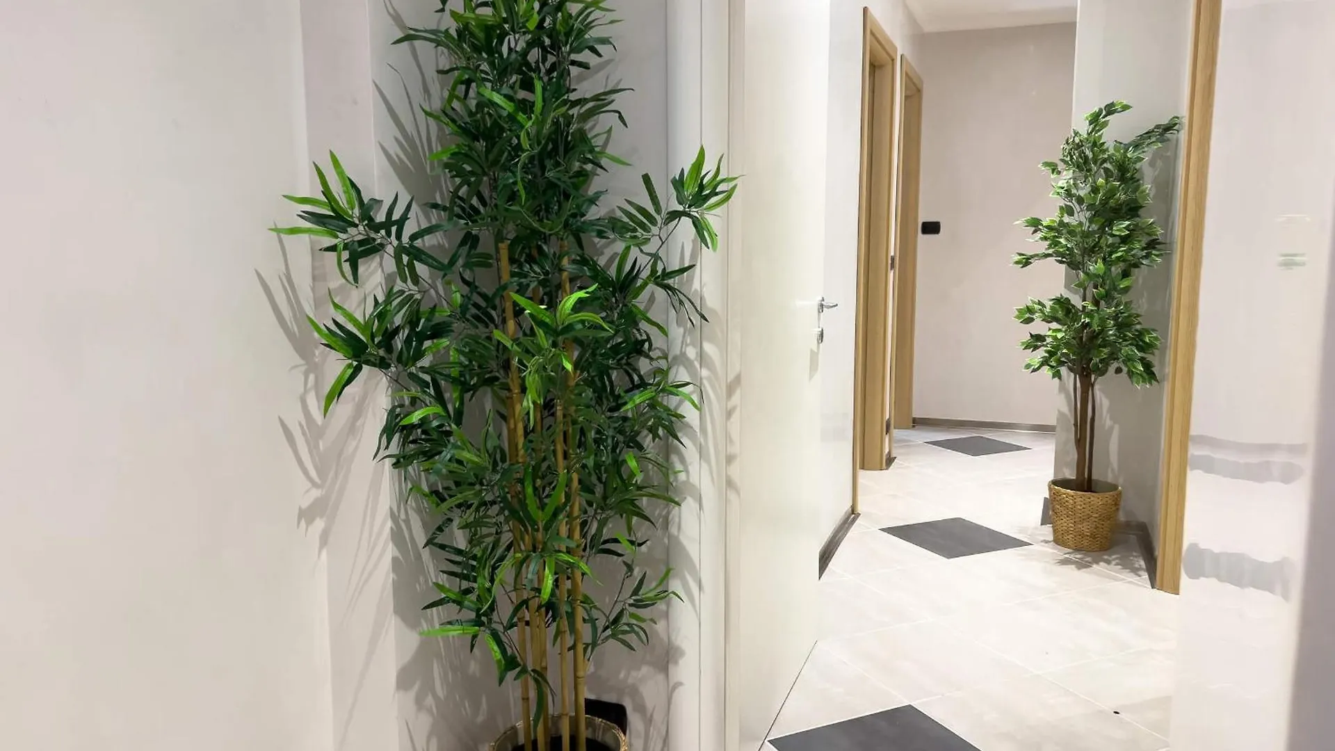 Sofia Guest House 로마 이탈리아